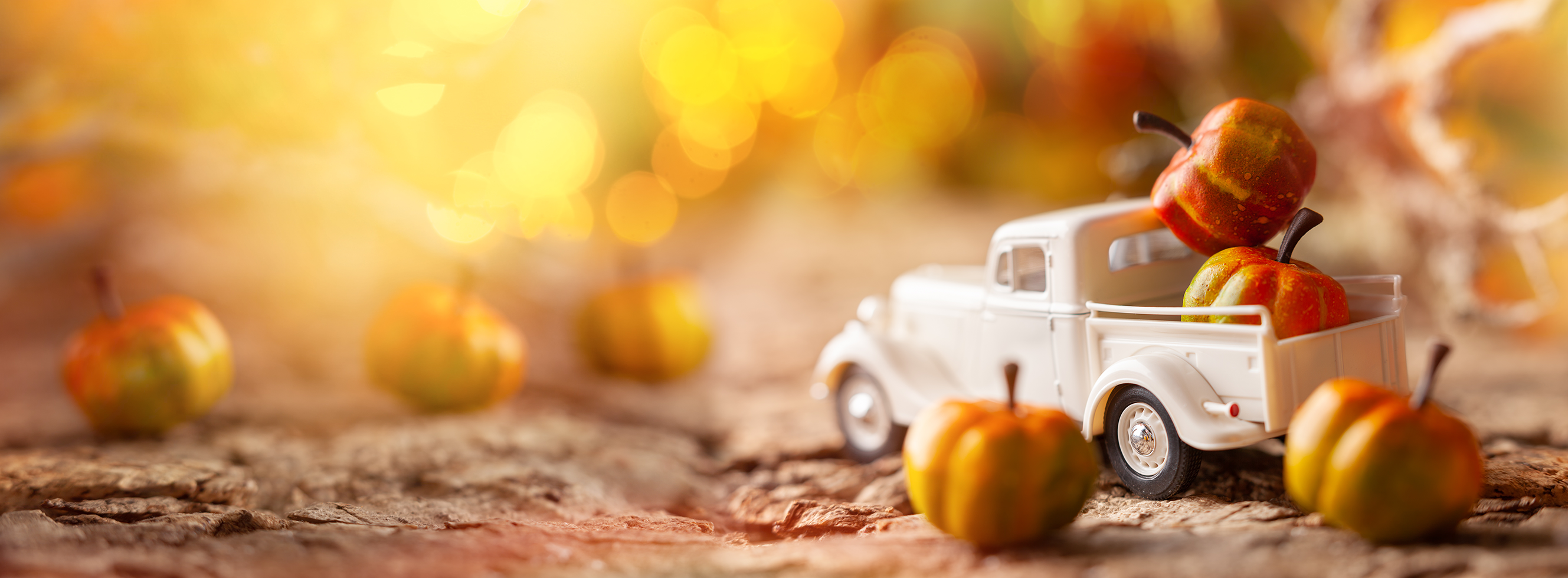 Toy Truck with pumpkins